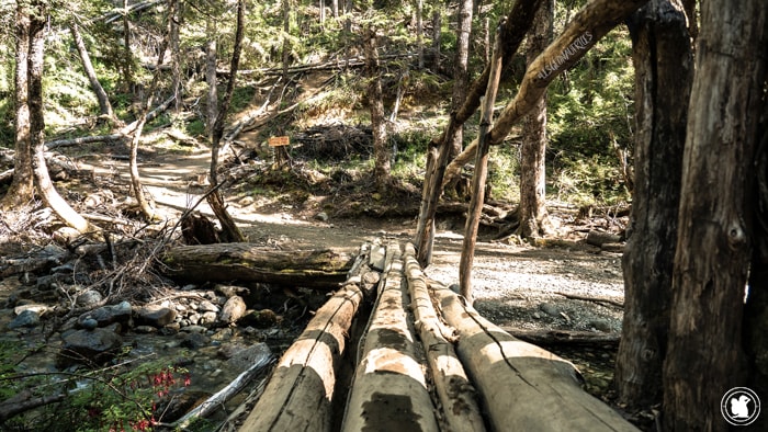 Ruisseau - Randonnée Cajon del Azul