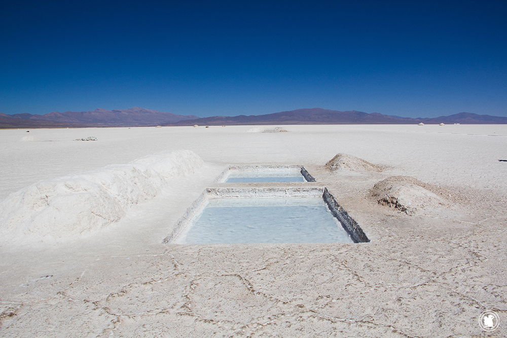 Bassins d'exploitation dans les Salinas Grandes en Argentine