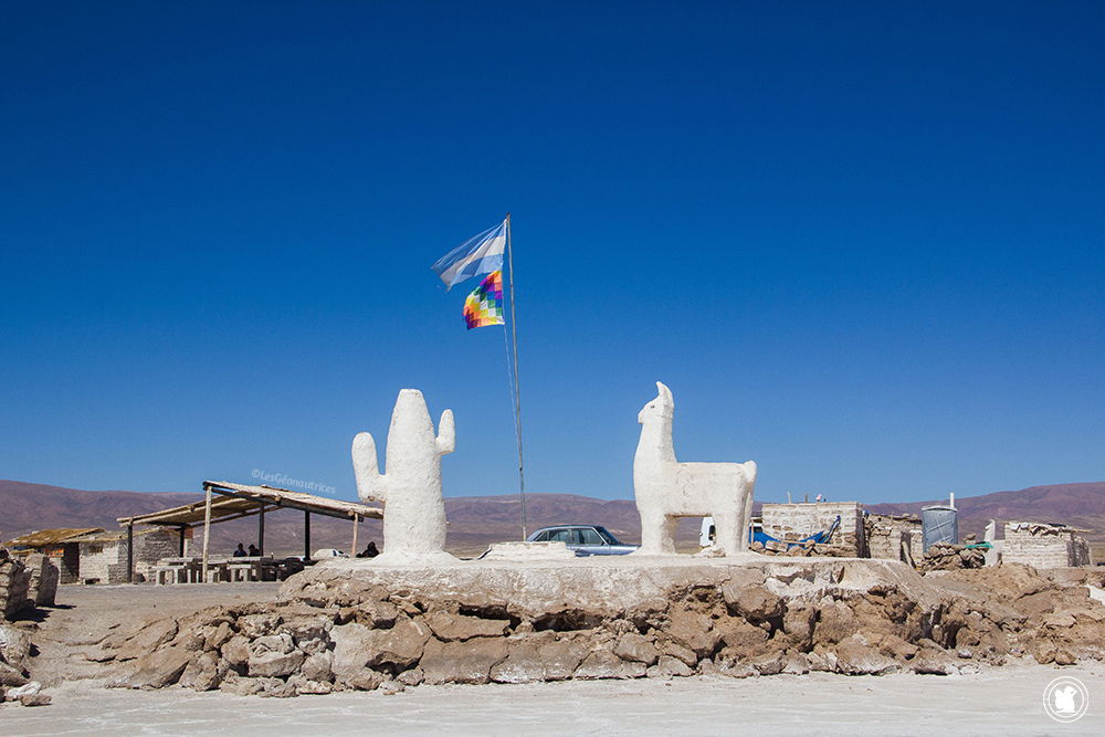 Sculptures de sel - Salinas Grandes - Argentine