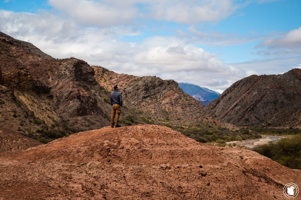 Quebrada de Cafayate - Boucle sud de Salta