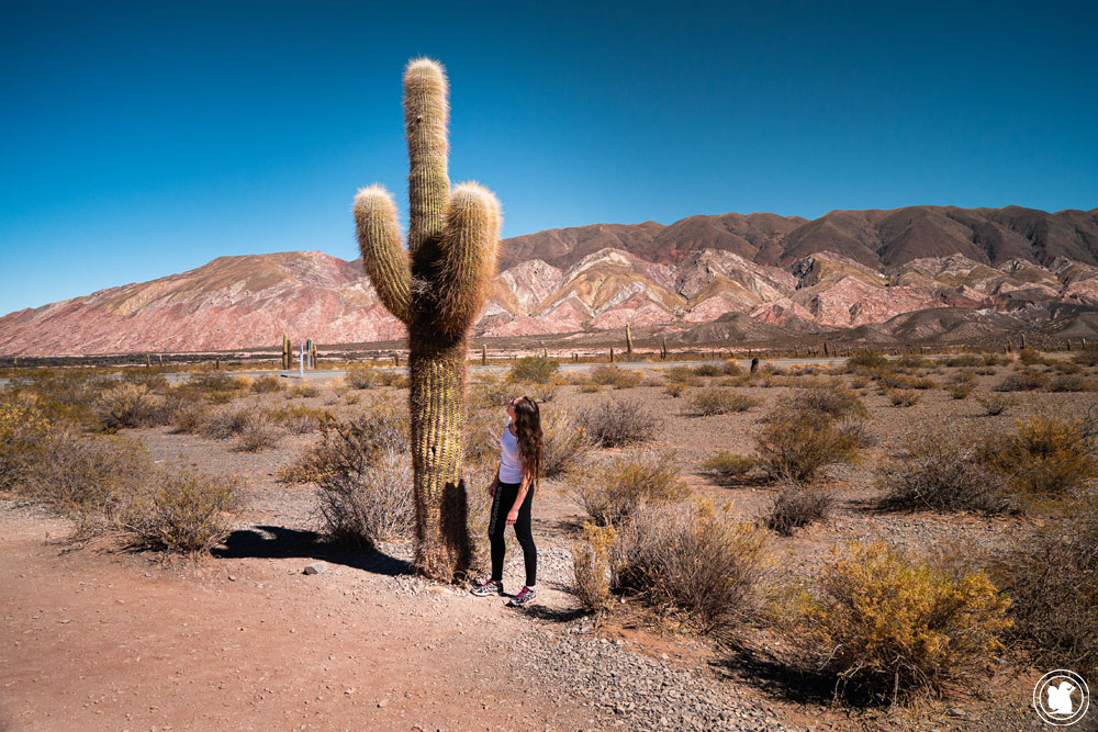 Parc national des Cactus
